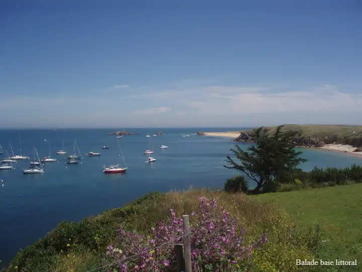 Traverser la mer de Quiberon vers l'île de Houat permet de découvrir une faune et une flore sauvage dans des décors préservées