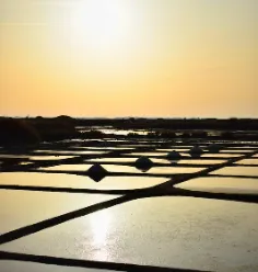 Marais salants à Guérande au coucher su soleil sont un des plus beaux coins de Loire-Atlantique