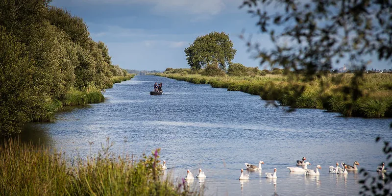 Un chaland sur un canal du parc naturel de Brière, entouré de nature sauvage