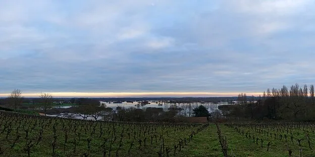 Vue panoramique depuis la Butte de la Roche sur le vignoble et la Loire, Loroux-Bottereau